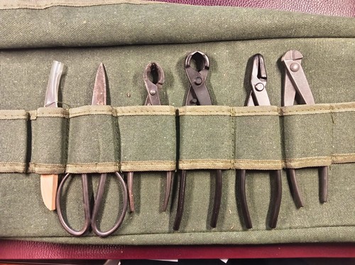 Set attrezzi bonsai - set, sensei