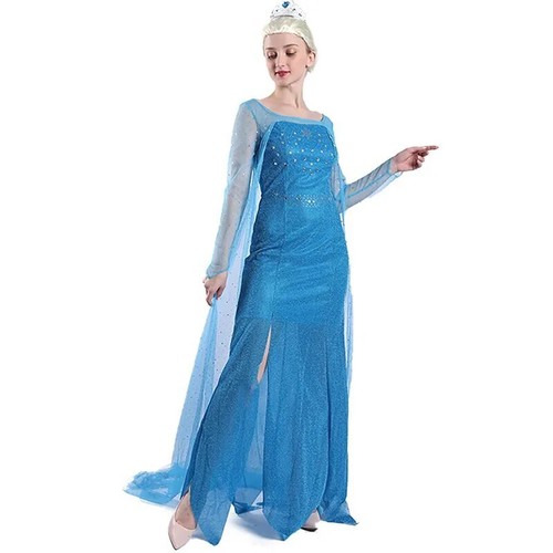 Costume elsa frozen - costume,