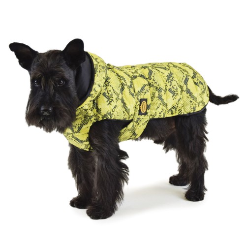 Fashion dog cappotto - dog,