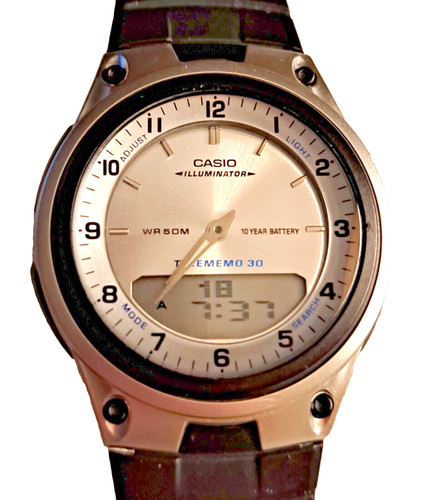 Casio illuminator telememo - telememo, 30