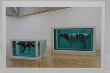 DAMIEN HIRST: "Mother and