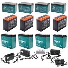 Batteria 6-DZM-12 6-DZF-20