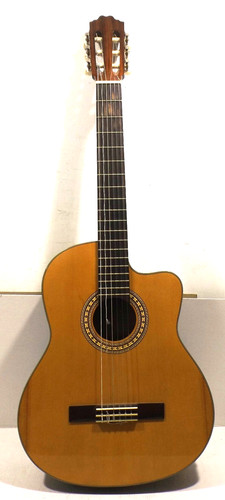Billy ray akoustics guitars - billy,