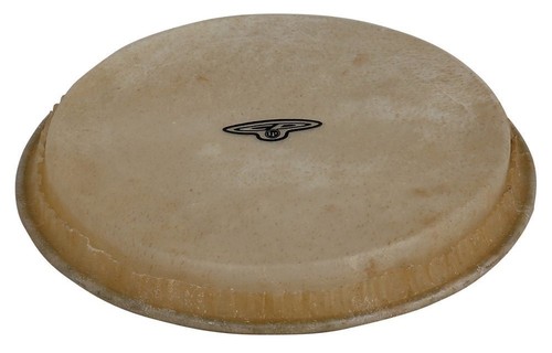 Bongo pelle cp - -,