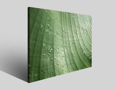 Quadro moderno astratto Tezt