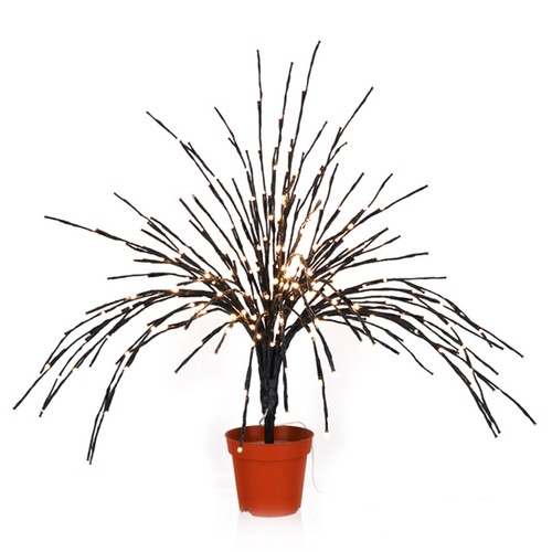 Hervit corallo luminoso nero - corallo,