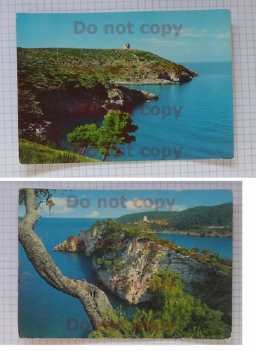 Cartolina vieste panorama - ,