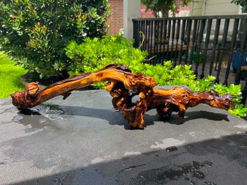 Driftwood mopani acquari - driftwood,
