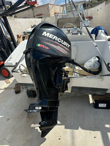 Mercury f40 elpt efi - mercury,
