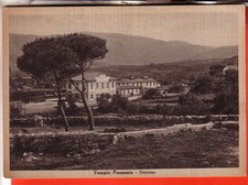 CARTOLINA  TEMPIO PAUSANIA FG