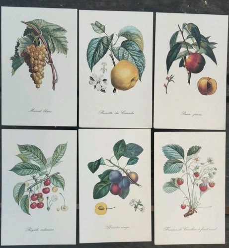 Set cartoline vintage - set,