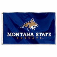 Bandiera MSU Montana State