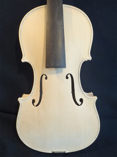 Progetto violino bianco - bianco, non