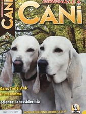 Cinghiale cani 2021 - cinghiale,