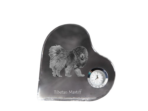 Khyi tibetano mastino - do,