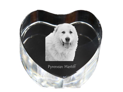 Mastino dei pirenei cuore - dei,