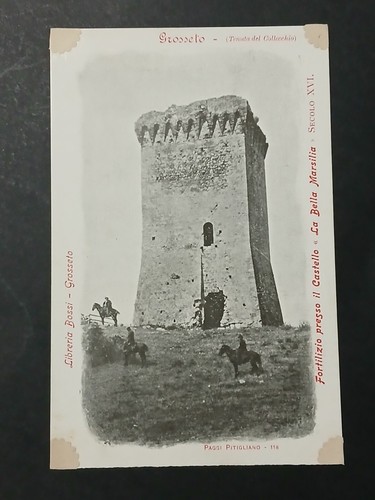 Grosseto tenuta del collecchio - tenuta,