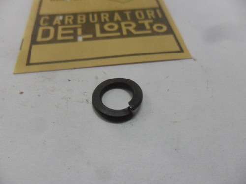 Rondella elastica carburatore - elastica,