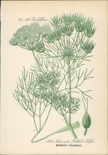 Chromolithographie - ,
