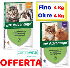 ADVANTAGE 40 - 80  4 Pipette → Antiparassitario Spot on per GATTI e CONIGLI