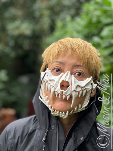Halloween cosplay mezza faccia