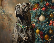 Corso canna stampa opaca 8x10