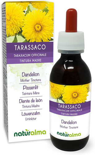 Tarassaco taraxacum - tarassaco, (taraxacum