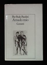 Pasolini Pier Paolo Amado mio