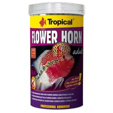 Tropical flower horn adult - tropical,