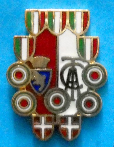 Distintivo spilla pin badge - distintivo,
