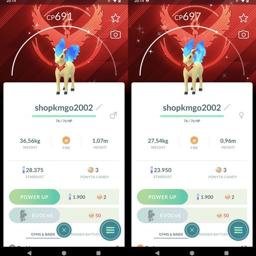 Shiny ponyta candela team - shiny,