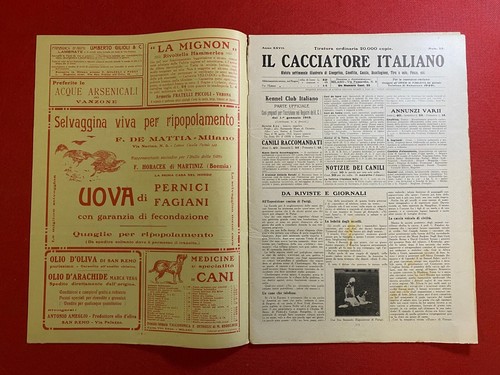 Cacciatore italiano - il,