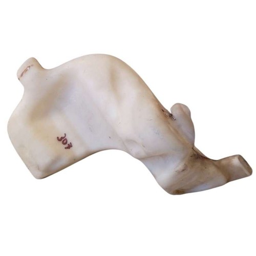 Vaschetta acqua tergicristallo