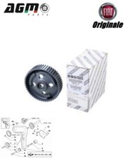 PULEGGIA PIGNONE ALBERO A