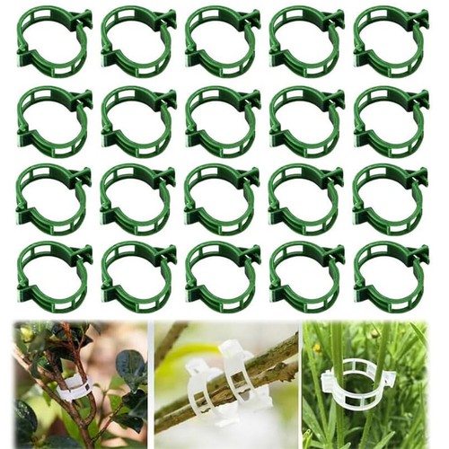 200pz clip supporto - supporto, piante