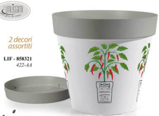 Vaso piante fiori semi vivai - vaso,