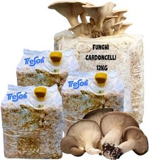 KIT COLTIVAZIONE FUNGHI CARDONCELLI PLEUROTUS ERYNGII 4 BALLETTE DA 3 KG