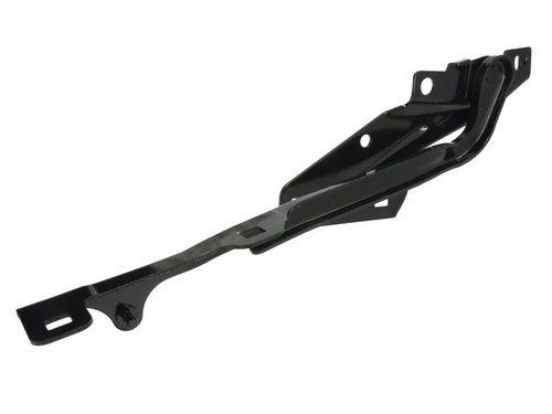 Cerniera coperchio motore