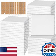 GOH DODD 60-Pack Blank Ceramic