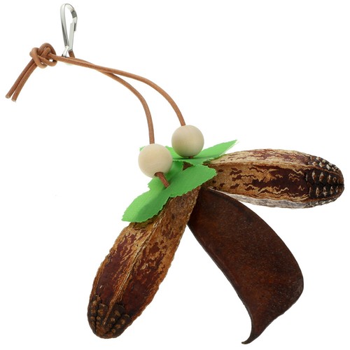 Parrot chewing toy bird - parrot,