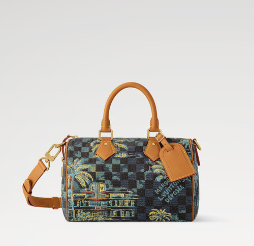 Louis vuitton speedy - louis,