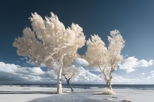 Samsung NX1000 20MP,full