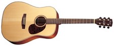 Guitare Acoustique Cort Earth