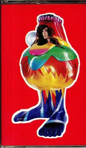 Bjork volta cassette - volta,