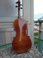 violino 4 /4 Mod.Guarneri NN2