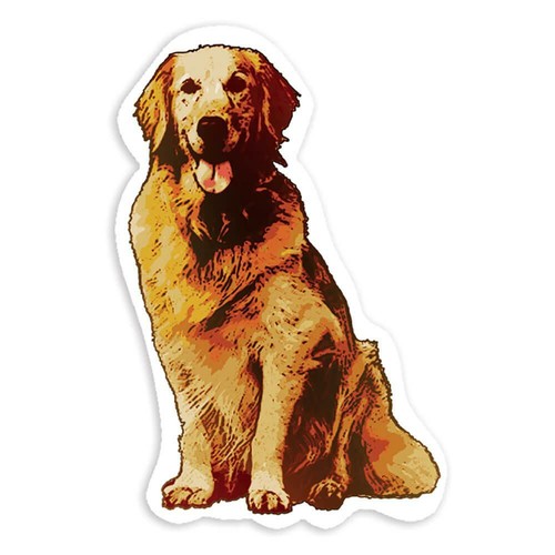 Adesivo regalo golden - adesivo, regalo: