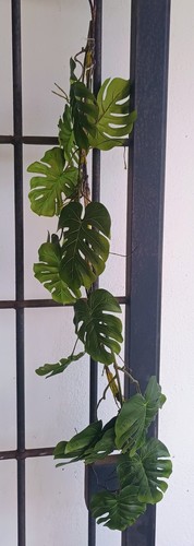 Pianta artificiale cadente - artificiale,