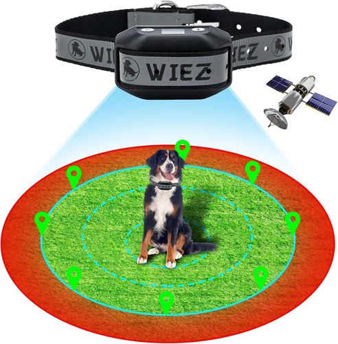Wiez gps wireless display - gps, (display