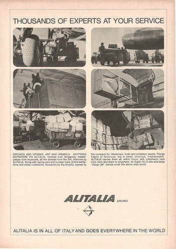 Alitalia airlines compagnia - airlines,