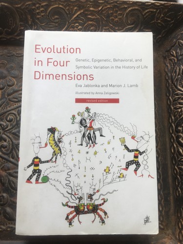 Evolution four dimensions - four,